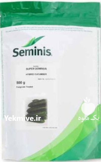بذر خیار سوپر دومینوس سمینیس در هرمزگان در گروه خرید و فروش بذر خیار در یکمیوه -عکس1