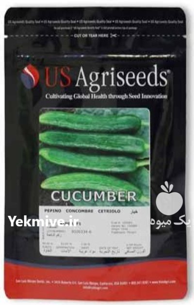 بذر خیار رایدر در هرمزگان در گروه خرید و فروش بذر خیار در یکمیوه -عکس1