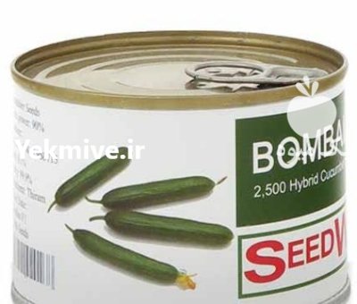 بذر خیار بومبای سیدوی در ساری در گروه خرید و فروش بذر خیار در یکمیوه -عکس1