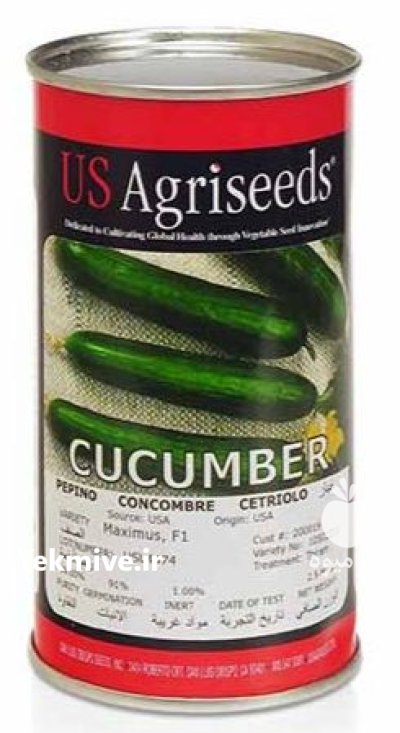 بذر خیار ماکسیموس یو اس اگریسیدز در رشت در گروه خرید و فروش بذر خیار در یکمیوه -عکس1