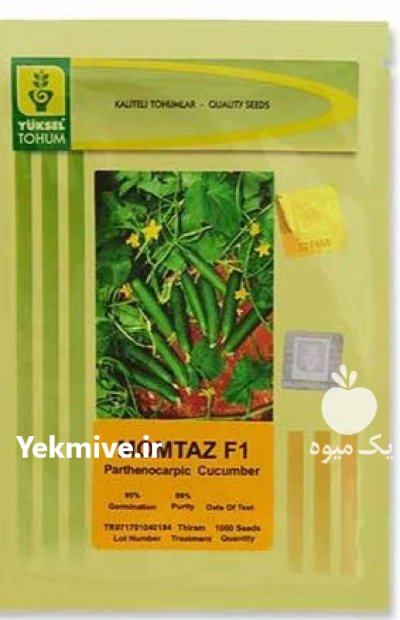 بذر خیار ممتاز در ساری در گروه خرید و فروش بذر خیار در یکمیوه -عکس1