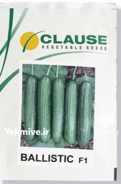 بذر خیار گلخانه ای بالستیک کلوز در هرمزگان در گروه خرید و فروش بذر خیار در یکمیوه -عکس1