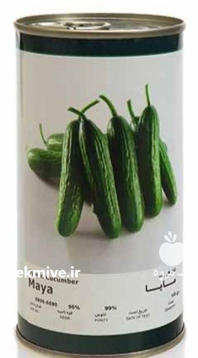 بذر خیار مایا فلات در مركزی در گروه خرید و فروش بذر خیار در یکمیوه -عکس1