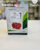 قیمت بذر گوجه فرنگی باسیمو پربار در جیرفت در گروه خرید و فروش بذر گوجه در یکمیوه