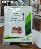 بذر گوجه باسیمو محصول بیشتر دردسر در شیراز در گروه خرید و فروش بذر گوجه در یکمیوه