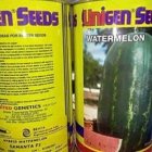 بذر هندوانه یونی ژن در آبسرد در گروه خرید و فروش بذر هندوانه در یکمیوه