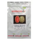 فروش بذر هندوانه و نوس اماسیدز در بوشهر در گروه خرید و فروش بذر هندوانه در یکمیوه