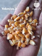 ذرت درجه یک در گنبد کاووس در گروه خرید و فروش ذرت در یکمیوه