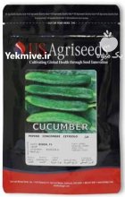 بذر خیار رایدر در هرمزگان در گروه خرید و فروش بذر خیار در یکمیوه