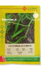 بذر خیار گلوریا 009 در رشت در گروه خرید و فروش بذر خیار در یکمیوه