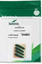 بذر خیار امپراطور در هرمزگان در گروه خرید و فروش بذر خیار در یکمیوه