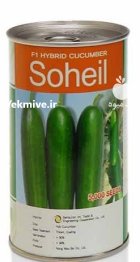 بذر خیار سهیل در هرمزگان در گروه خرید و فروش بذر خیار در یکمیوه