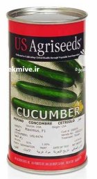 بذر خیار ماکسیموس یو اس اگریسیدز در رشت در گروه خرید و فروش بذر خیار در یکمیوه