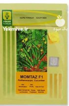 بذر خیار ممتاز در ساری در گروه خرید و فروش بذر خیار در یکمیوه