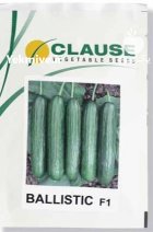 بذر خیار گلخانه ای بالستیک کلوز در هرمزگان در گروه خرید و فروش بذر خیار در یکمیوه