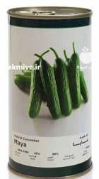 بذر خیار مایا فلات در مركزی در گروه خرید و فروش بذر خیار در یکمیوه
