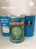 بذر هندوانه میکادو کیفیت بالا قیمت در شیراز در گروه خرید و فروش بذر هندوانه در یکمیوه