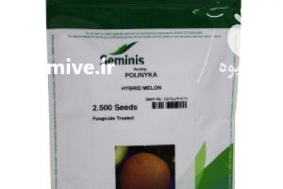 بذر خربزه پلی نیکا در امین شهر در گروه خرید و فروش بذر خربزه در یکمیوه -عکس1