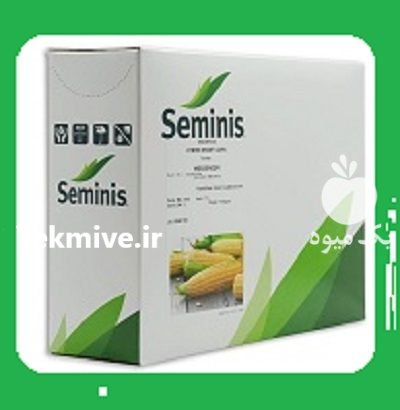 بذر ذرت مسنجر در شهرکرد در گروه خرید و فروش بذر ذرت در یکمیوه -عکس1