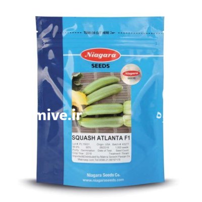 بذر کدو آتلانتا در آبش احمد در گروه خرید و فروش بذر کدو در یکمیوه -عکس1