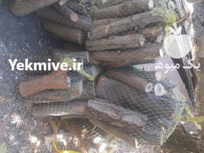 هیزم شومینه ای و آتیشی کبابی در چهارباغ در گروه خرید و فروش هیزم در یکمیوه -عکس3