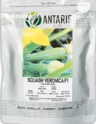 بذر کدوی ورونیکا در حلب در گروه خرید و فروش بذر کدو در یکمیوه