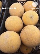 بذر ملون گالیا سمینیس در بدره در گروه خرید و فروش بذر ملون در یکمیوه