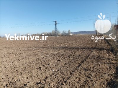 فروش زمین بر خیابان اصلی اردبیل در گروه اجاره زمین کشاورزی در یکمیوه -عکس1