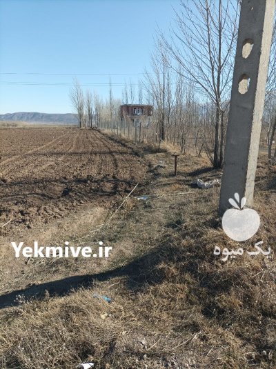 فروش زمین بر خیابان اصلی اردبیل در گروه اجاره زمین کشاورزی در یکمیوه -عکس2