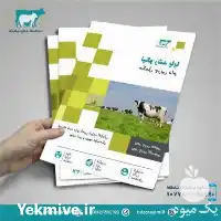 تولید فروش پودر چربی کلسیمی نیکو در نظرآباد در گروه دارو و داروخانه در یکمیوه