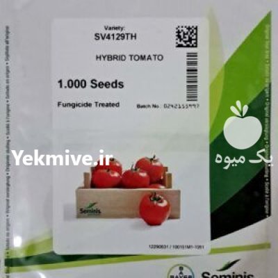 خرید بذر گوجه بریویو اصل سمینیس در اصفهان در گروه خرید و فروش بذر گوجه در یکمیوه -عکس1