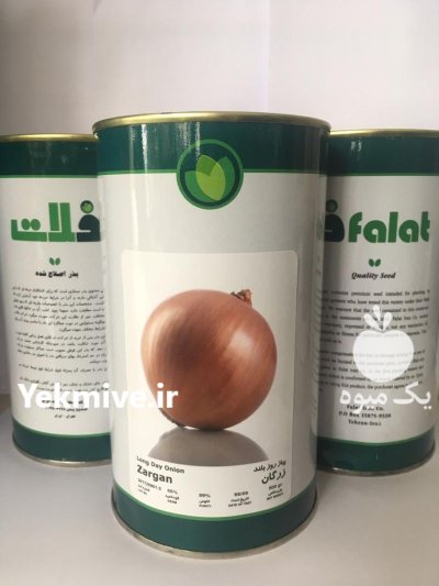 بذر پیاز زرد زرگان فلات در آبدانان در گروه خرید و فروش بذر پیاز در یکمیوه -عکس1