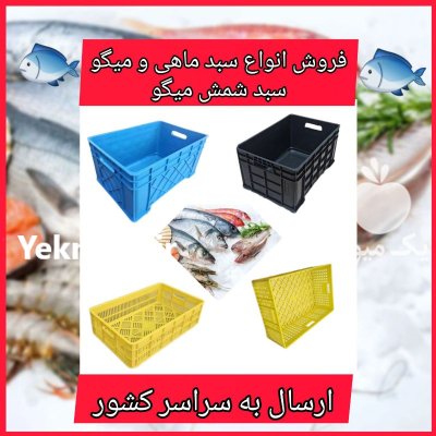 فروش سبد شمش میگو انواع سبد در بندرعباس در گروه خرید و فروش انواع سبد در یکمیوه -عکس1