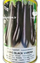 بذر بادمجان قلمی لانگ بلک و ارنا در انار در گروه خرید و فروش بذر بادمجان در یکمیوه