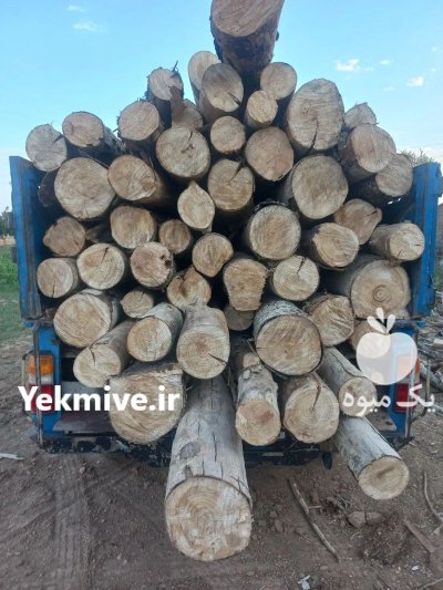 فروش انواع چوب زغالی در خمین در گروه خرید و فروش چوب زغالی در یکمیوه -عکس1