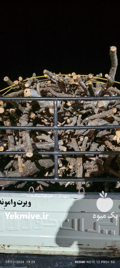 فروش انواع چوب زغالی در خمین در گروه خرید و فروش چوب زغالی در یکمیوه -عکس2