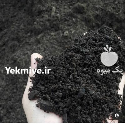 کمپوست خاکبرگ جنگلی در ورامین در گروه خرید و فروش کود کمپوست در یکمیوه -عکس1