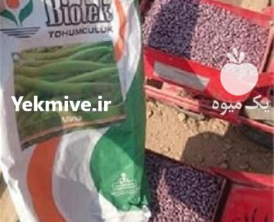 عرضه بذر نخود فرنگی بیوتک در ایلام در گروه خرید و فروش انواع بذر در یکمیوه -عکس1
