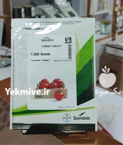 بذر گوجه 8320 پربار مقاوم در مشهد در گروه خرید و فروش بذر گوجه در یکمیوه -عکس1