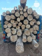 فروش انواع چوب زغالی در خمین در گروه خرید و فروش چوب زغالی در یکمیوه