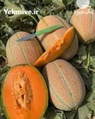 عرضه بذر ملون جانا با کیفیت در اصفهان در گروه خرید و فروش بذر ملون در یکمیوه