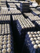 تخم مرغ صادراتی عراق پاکستان افغانستان در مشهد در گروه انواع تخم ها در یکمیوه