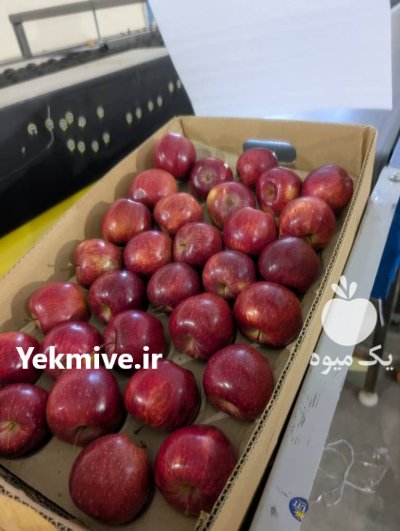 صادرات محصولات کشاورزی در ارومیه در گروه سایر صادرات و واردات در یکمیوه -عکس2