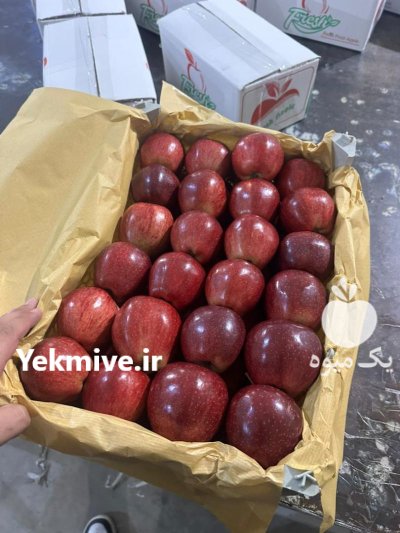 صادرات محصولات کشاورزی در ارومیه در گروه سایر صادرات و واردات در یکمیوه -عکس3