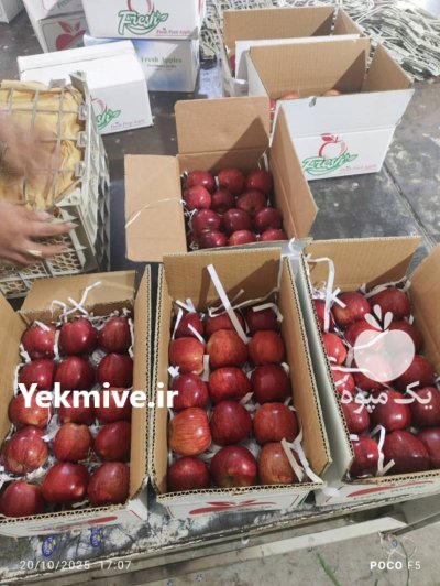 صادرات محصولات کشاورزی در ارومیه در گروه سایر صادرات و واردات در یکمیوه -عکس4