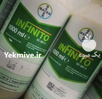 کاربردهای قارچ کش اینفینیتو بایر آلمان در بیستون در گروه خرید و فروش انواع سم در یکمیوه -عکس1