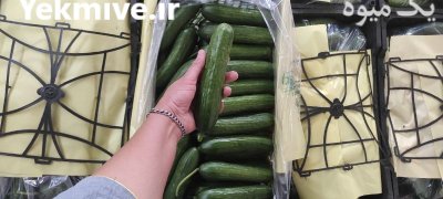 سورتینگ خیار خطی گلخانه ای یزد در گروه سورتینگ در یکمیوه -عکس1