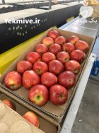 صادرات محصولات کشاورزی در ارومیه در گروه سایر صادرات و واردات در یکمیوه