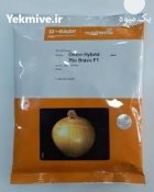 بذر پیاز راتا محصولی مطمئن در یزد در گروه خرید و فروش بذر پیاز در یکمیوه