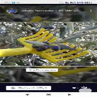 فروش شانه چیدن زیتون ومیوه